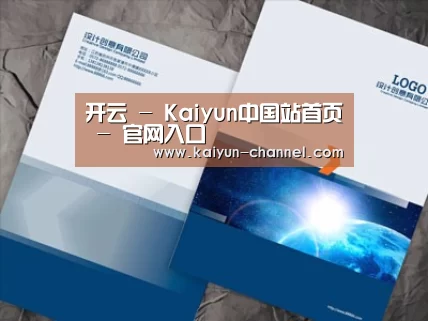 项目名称十