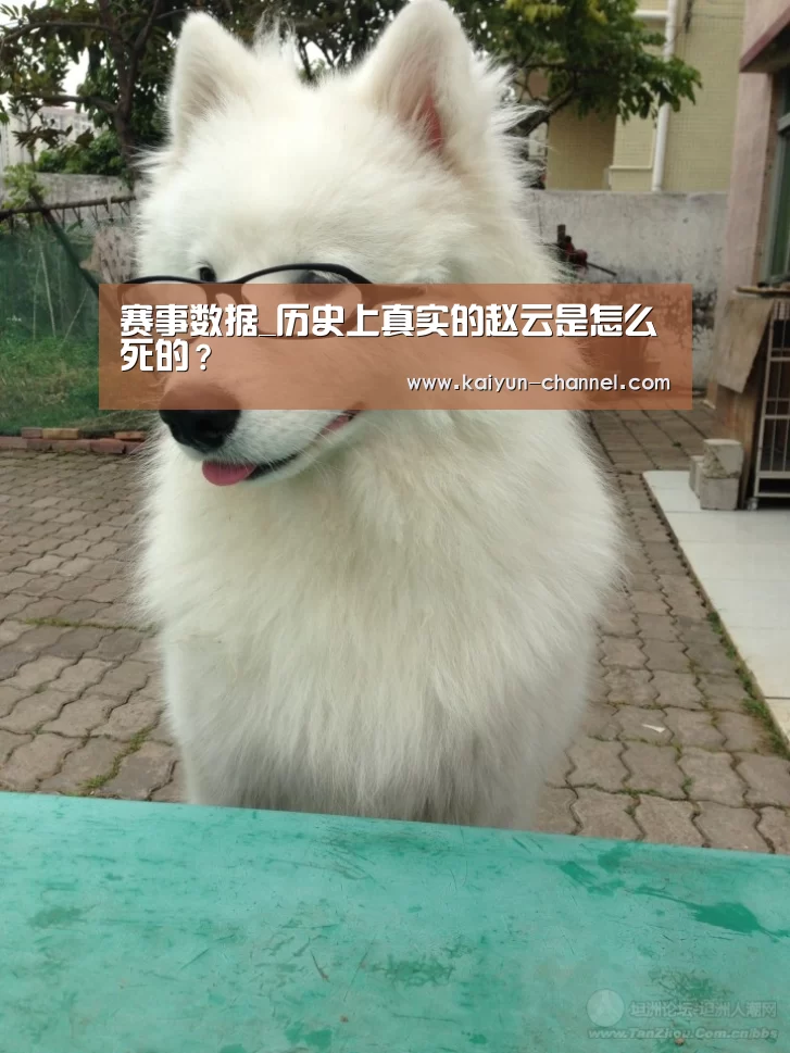 赛事数据_历史上真实的赵云是怎么死的?(图3) 赛事数据